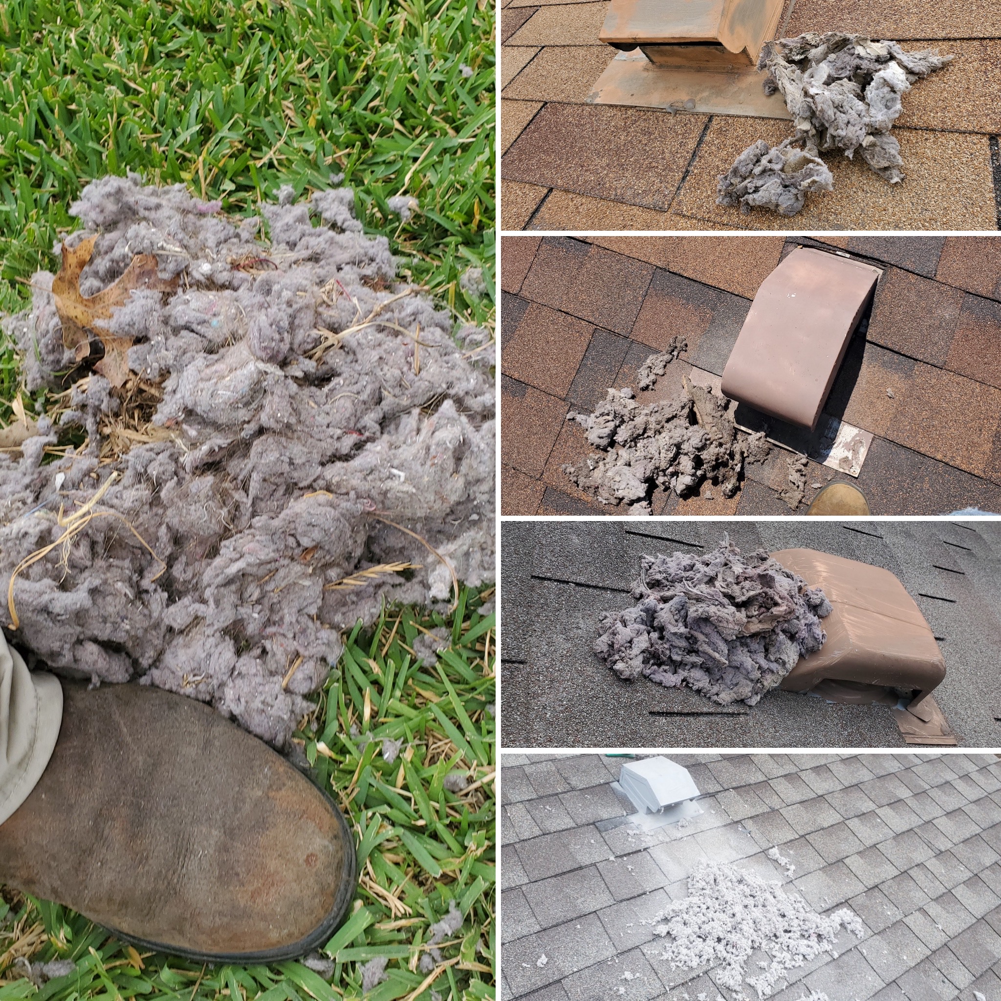 Dryer Vent Lint Buildup Cleaning in Austin, Texas (Image Not Found)