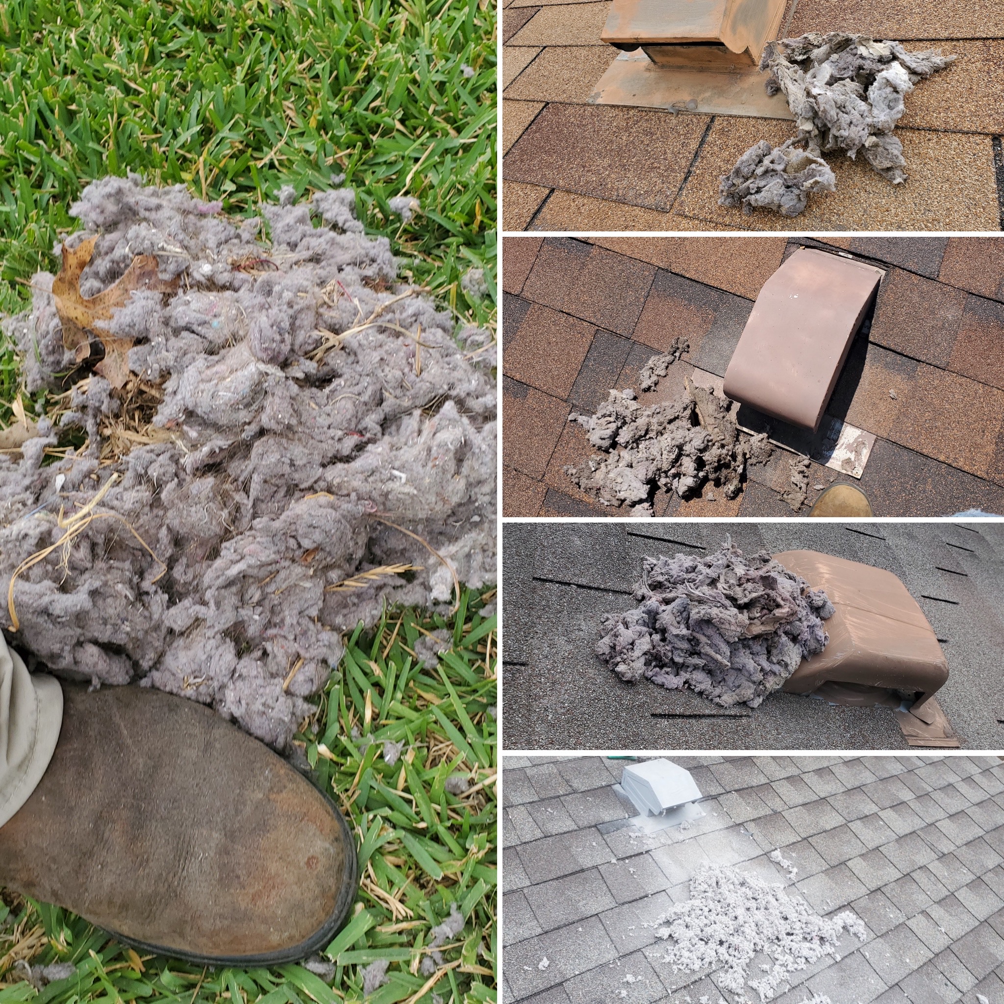 Dryer Vent Lint Buildup Cleaning in Austin (Image Not Found)
